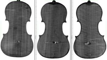 CT Scans of 3 Classic Violins: the Plowden, Willemotte, and Titian (back view)
